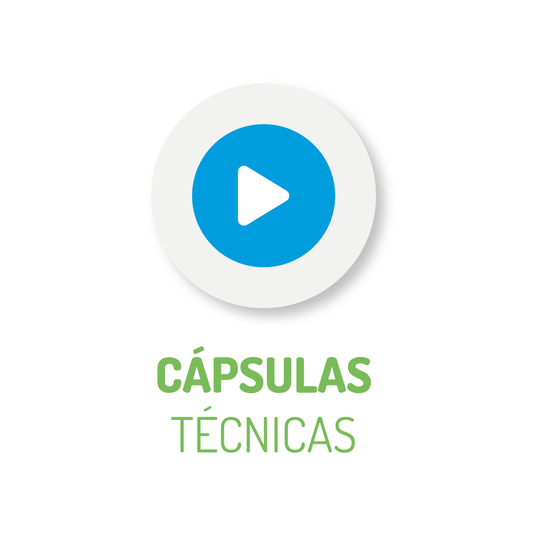 boton_capsulas_tecnicas